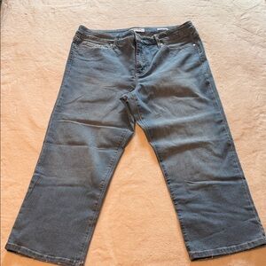 Nine West Women's Blue Ankle Jeans